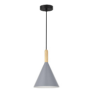 SLE1255-423-01 Светильник подвесной Черный/Серый E27 1*40W АРКЕТ 500_191_2954411